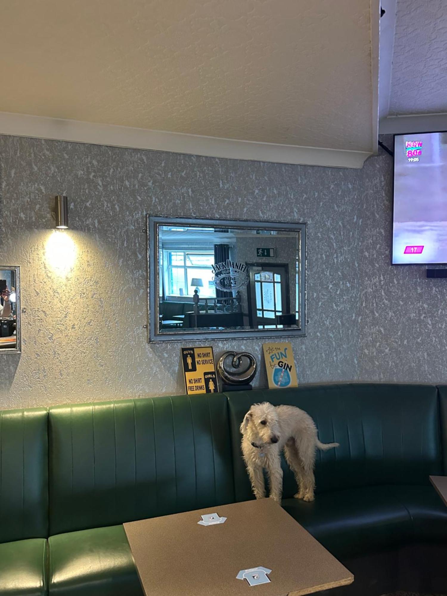 The Angel Inn Troed-y-rhiw Экстерьер фото